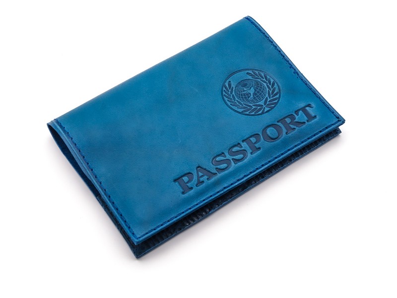 Обложка на паспорт (арт. 1042)
