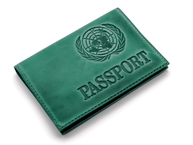Обложка на паспорт (арт. 1037)