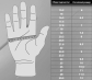 Размер перчаток (2)